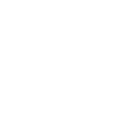 check-icon